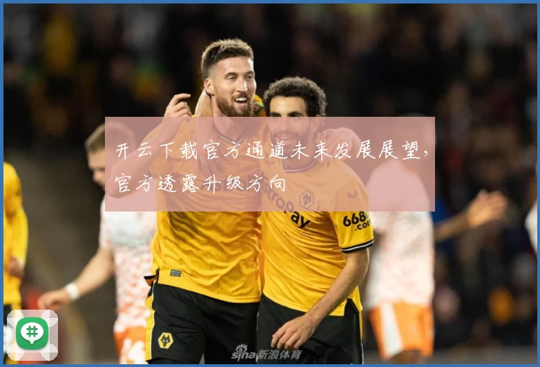 开云下载官方通道未来发展展望，官方透露升级方向