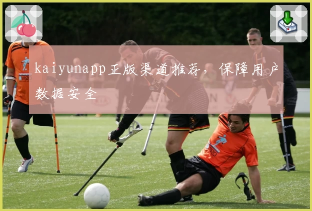 kaiyunapp正版渠道推荐,保障用户数据安全