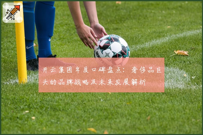 开云集团年度口碑盘点：奢侈品巨头的品牌战略及未来发展解析