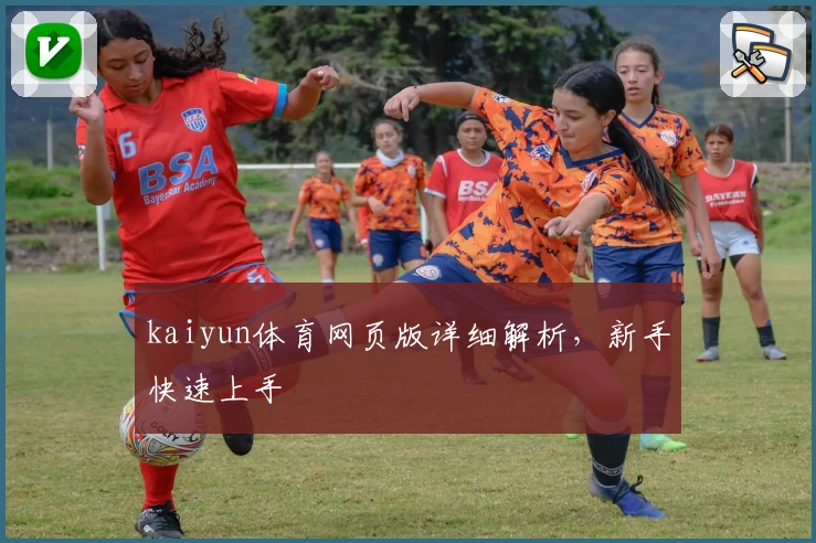 kaiyun体育网页版详细解析，新手快速上手