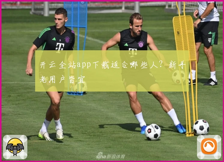 开云全站app下载适合哪些人？新手老用户皆宜